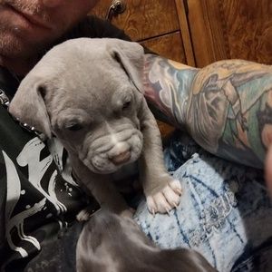 Meet your Posher, Justin